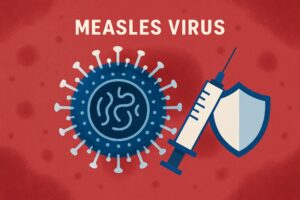 Complete Guide to Measles: Virus, Vaccine, and Key Facts, measles, measles virus