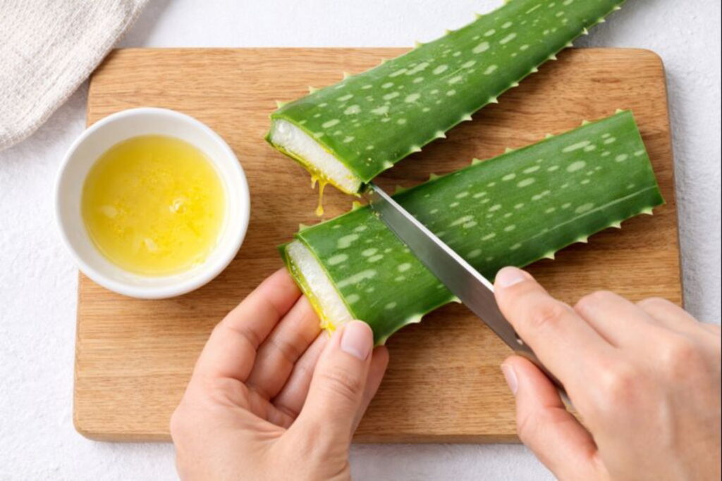 How to safely extract Aloe vera gel and remove toxic yellow latex, Aloe Vera