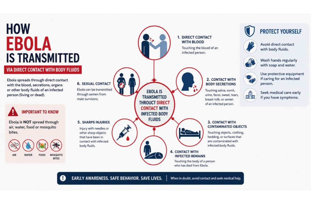 Infographic showing how Ebola spreads through direct contact.